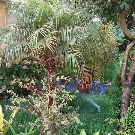Vivaverde Holiday home
