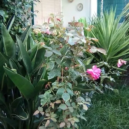 Vivaverde Holiday home Charneca (Setubal)